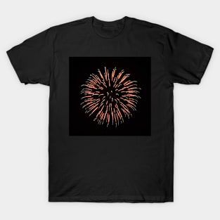 Celebration T-Shirt